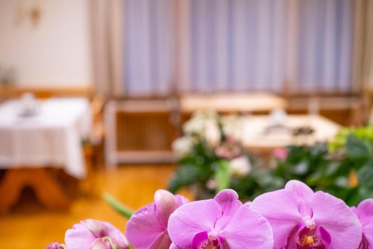 Naturion Hotel Hinterzarten Eksteriør bilde